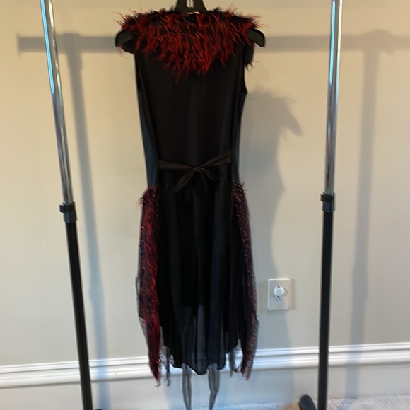 Halloween costume, Dress, 12-14 - Picture 2 of 7